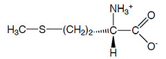 Altération du métabolisme de la méthionine