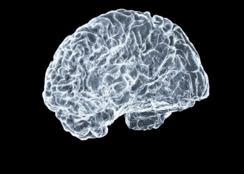a close up of a human brain on a black background