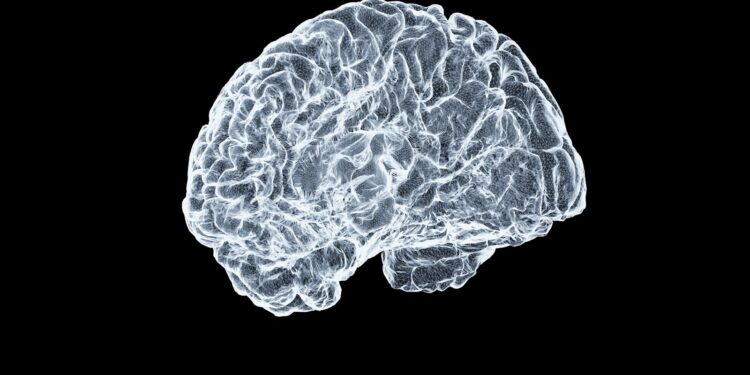 a close up of a human brain on a black background