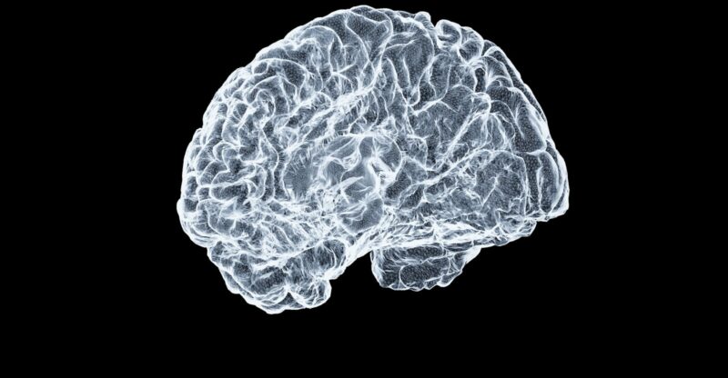Altération de la signalisation calcique neuronale
