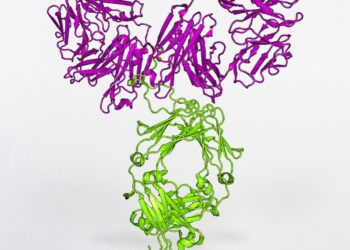 a purple and green string sculpture on a white surface