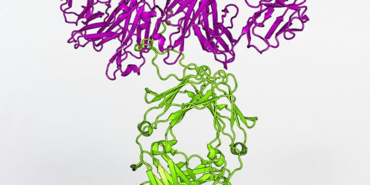 a purple and green string sculpture on a white surface