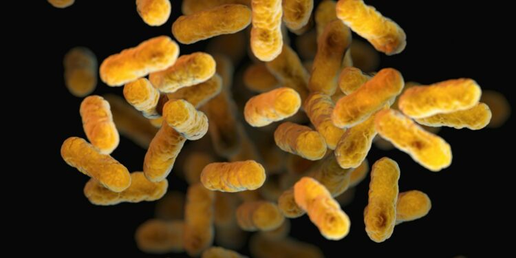 a close up of a bunch of small yellow things