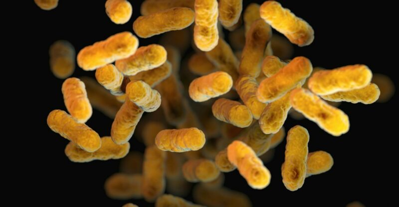 Altération du microbiote cutané