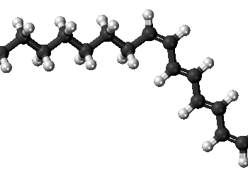 alpha parinaric acid, unsaturated, fatty acid, molecule, model, structure, chemistry, science, compound, research, atoms, fatty acid, fatty acid, fatty acid, fatty acid, fatty acid