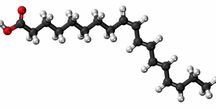 alpha parinaric acid, unsaturated, fatty acid, molecule, model, structure, chemistry, science, compound, research, atoms, fatty acid, fatty acid, fatty acid, fatty acid, fatty acid