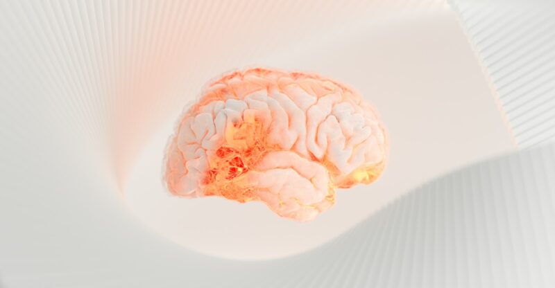 Inflammation hypothalamique