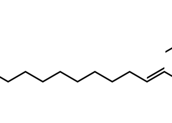 Accumulation de céramides métaboliques