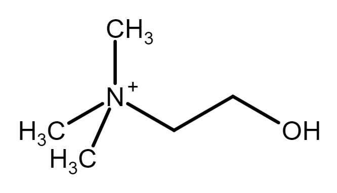 Altération du métabolisme de la choline