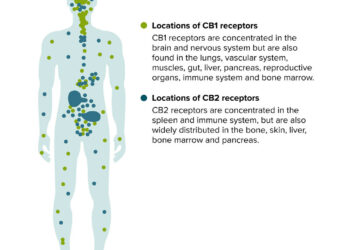 Altération du métabolisme des endocannabinoïdes