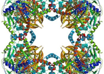 Dysfonction du métabolisme du pyruvate