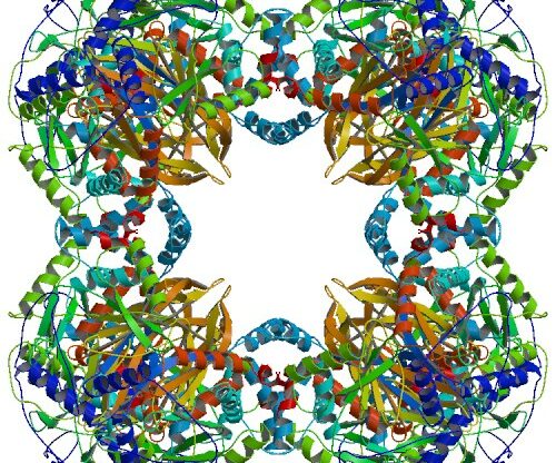 Dysfonction du métabolisme du pyruvate