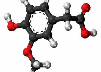 Dérèglement du métabolisme des catécholamines