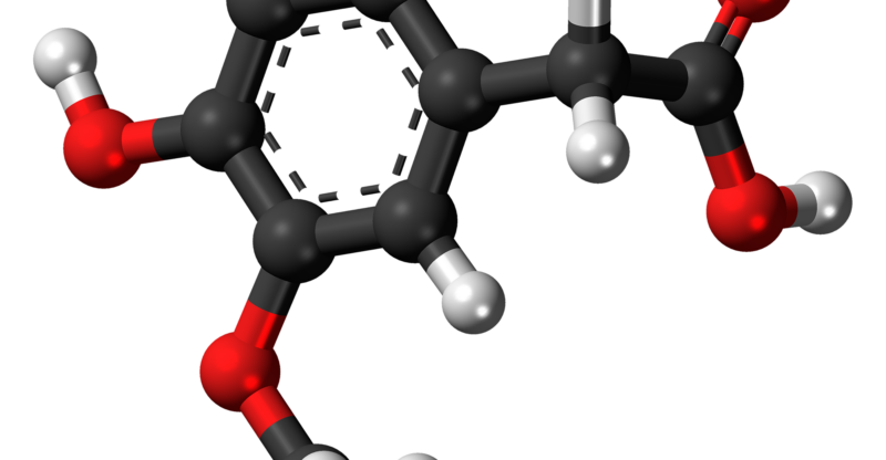 Dérèglement du métabolisme des catécholamines