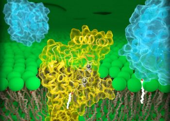 Altération du métabolisme des endoperoxydes lipidiques