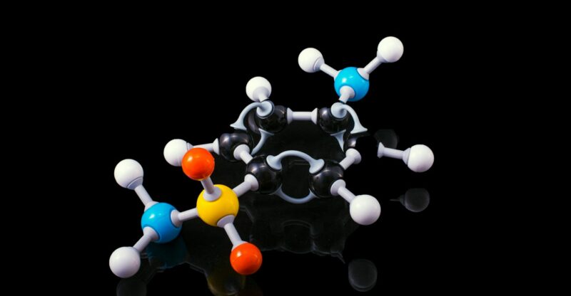 Dysfonction du métabolisme des nucléotides