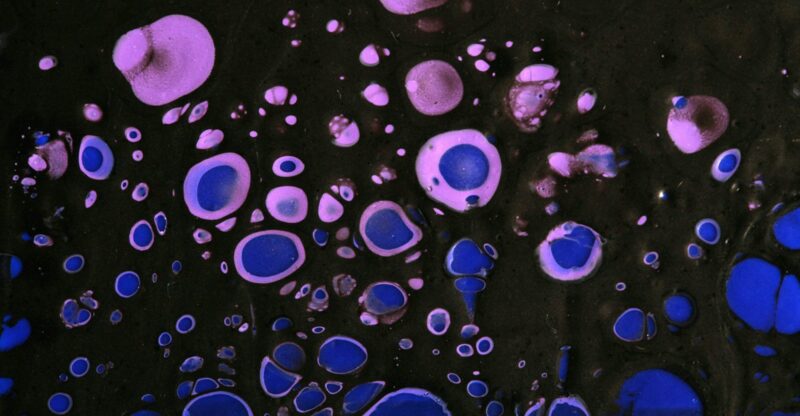 Déficit en capacité antioxydante peroxysomale