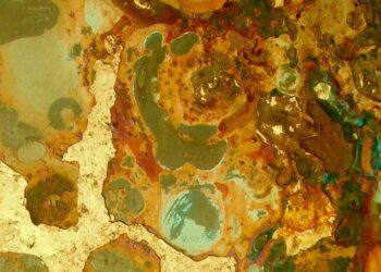 Close-up shot of a weathered wall showcasing vibrant abstract textures and rich earthy tones.