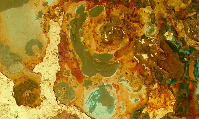 Malondialdéhyde : la trace invisible laissée par les membranes sous stress