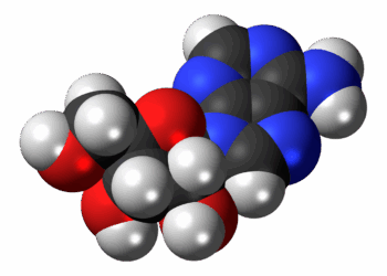 adenosine, nucleoside, molecule, structure, model, chemistry, science, compound, atoms, bonding