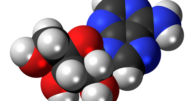 Altération du métabolisme des nucléosides