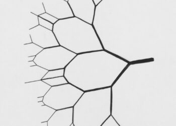 a black and white drawing of a leaf
