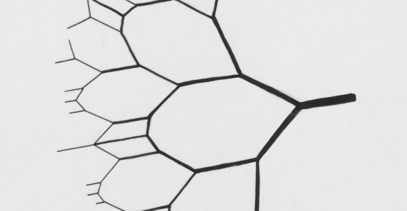 Ribonucléotides : quand la cellule manque de matière première