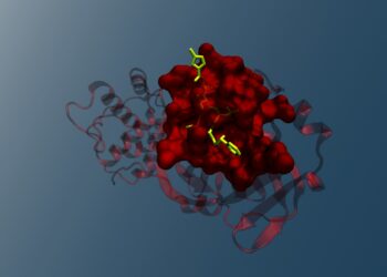 a red brain with green and yellow lines
