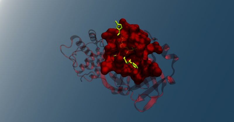 Déficit en enzymes de conjugaison hépatique (phase II)