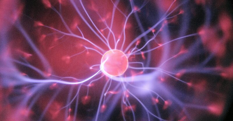 Glycosphingolipides : quand l’équilibre lipidique du cerveau se dérègle