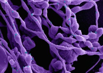 a close up of a purple substance with blue dots