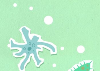 From above of decorative cardboard illustration representing different aquatic creatures in capsules with nuclei