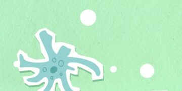 From above of decorative cardboard illustration representing different aquatic creatures in capsules with nuclei