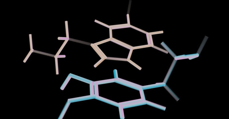 Phosphatidylcholines : quand le métabolisme des membranes dérape