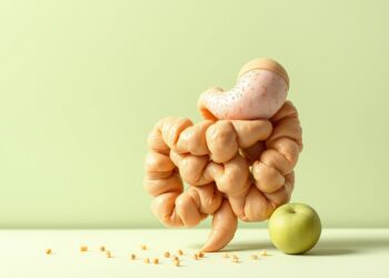 Syndrome intestin irritable sévère : au-delà du régime restrictif