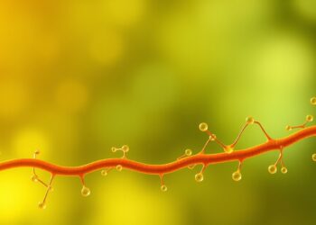 Butyrate fécal et barrière intestinale : ce qu'un essai probiotique-phytonutriments révèle en 8 semaines
