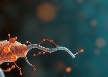 Cachexie tumorale : protéines, inflammation et limites de « manger plus »