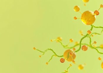 Fibres alimentaires et cholestérol : au-delà des psyllium, comment agir sur les LDL
