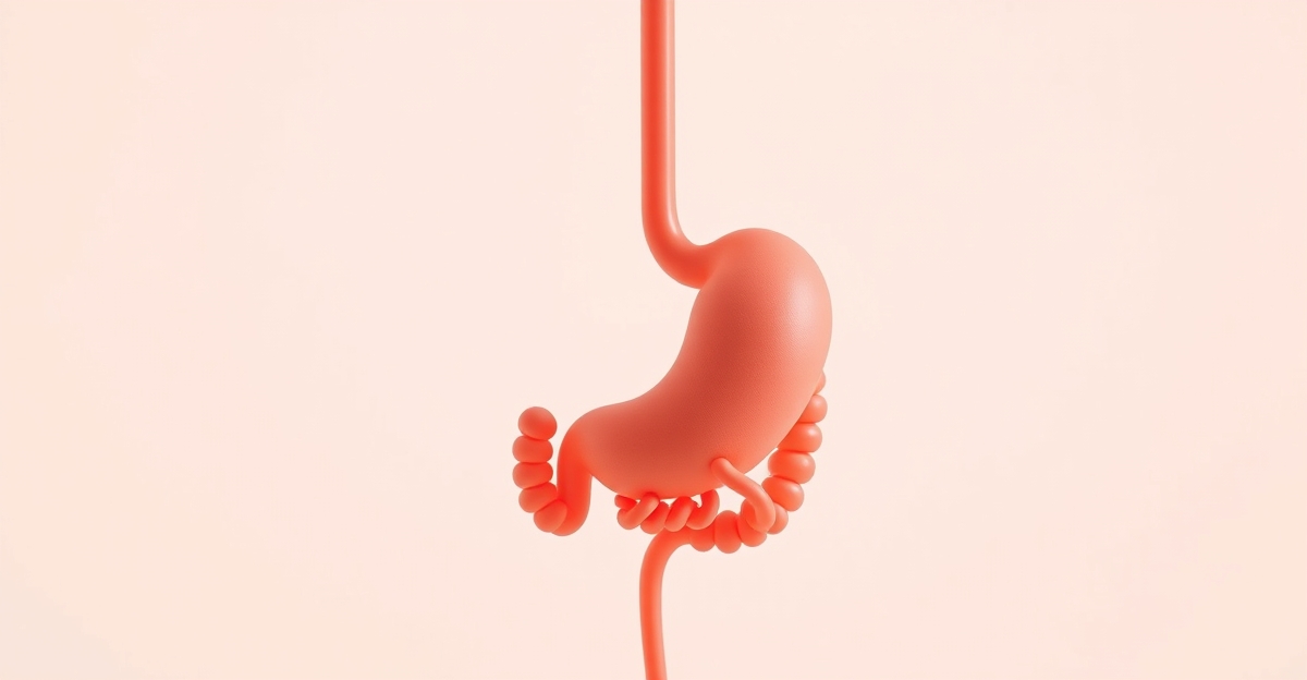 Reflux gastro-œsophagien : l’alimentation au-delà du « ne pas manger tard »