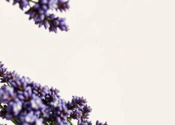 Acné hormonale chez l'adulte : lire le profil avant de prescrire le régime