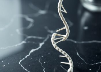 Cadmium et métallothionéines : comment l'éviction du zinc désactive p53 et favorise le cancer