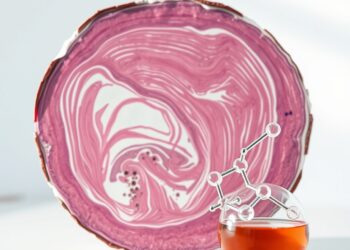 Histologie musculaire et modèle biochimique du coenzyme Q10