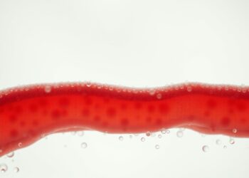 Microplastiques ingérés et perméabilité intestinale : une barrière sous assaut silencieux