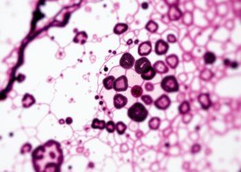 Nanoparticules d'argent et foie : la dissolution d'ions Ag+ qui foudroie les hépatocytes